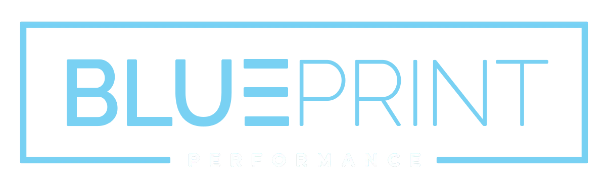 BluePrint Performance