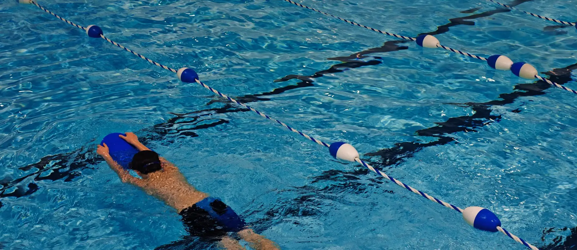 DAUPHINS DE CHATELLERAULT