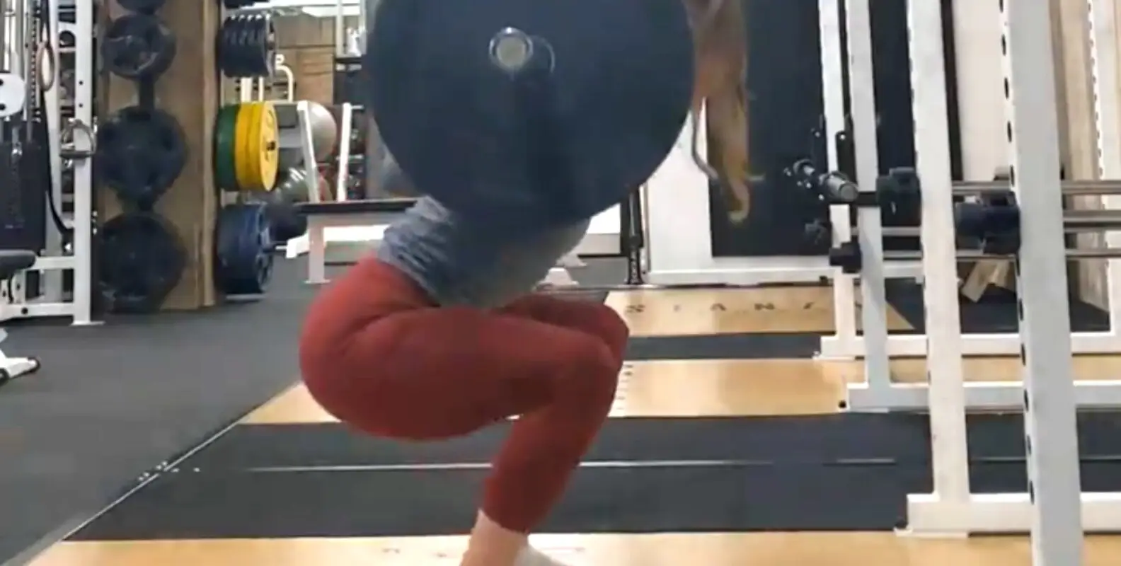 Loxley King Personal Trainer