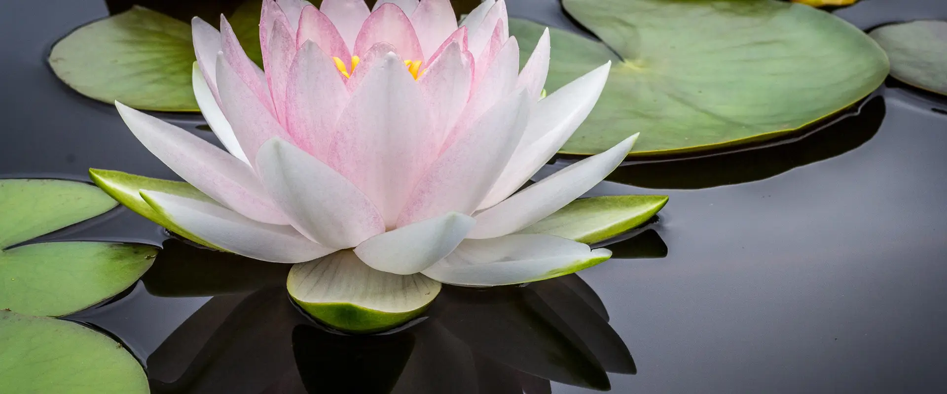 Ananda Yoga Rodez