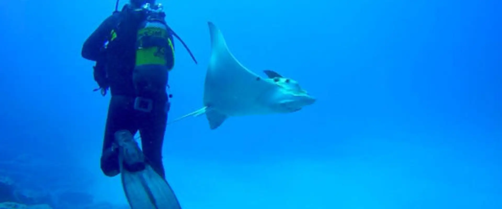 Just Apeks - 4th Element Diving