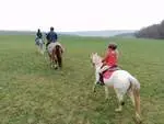 La Ferme des Montots