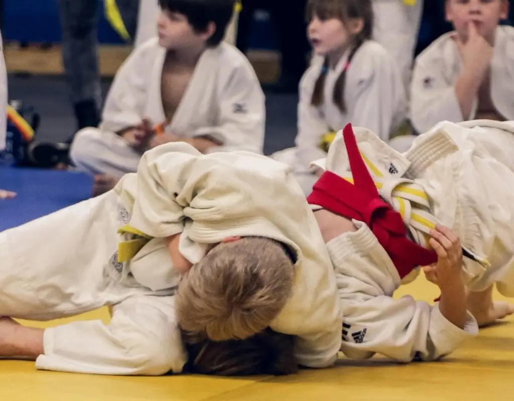 Dojo Antipolis Valbonne (Club de judo)