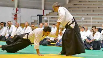 Aikido 69