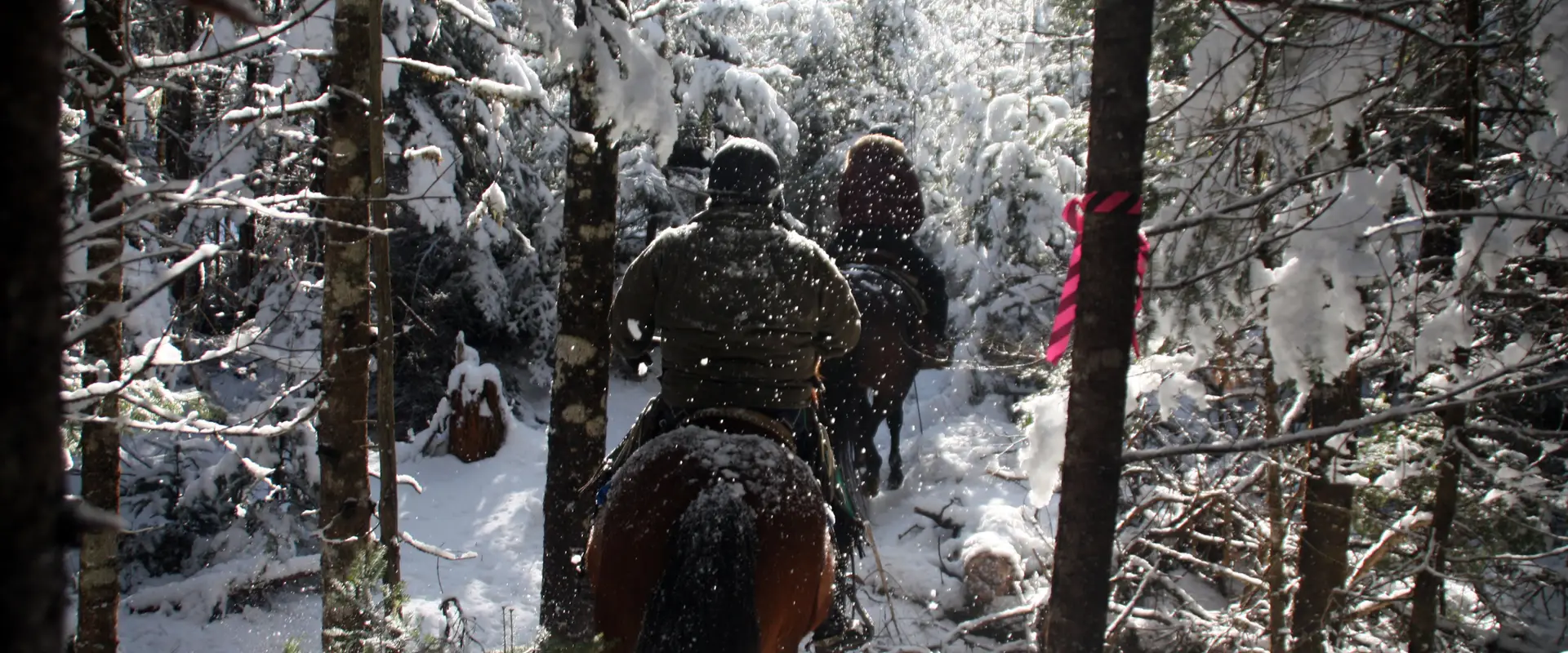 Evangeline Trail Rides