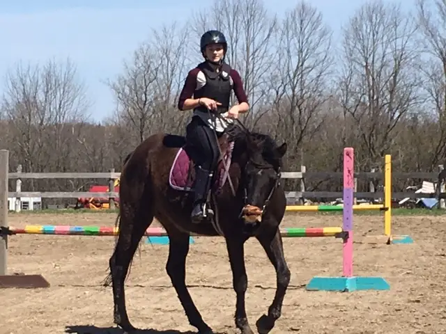 Valentia Equestrian