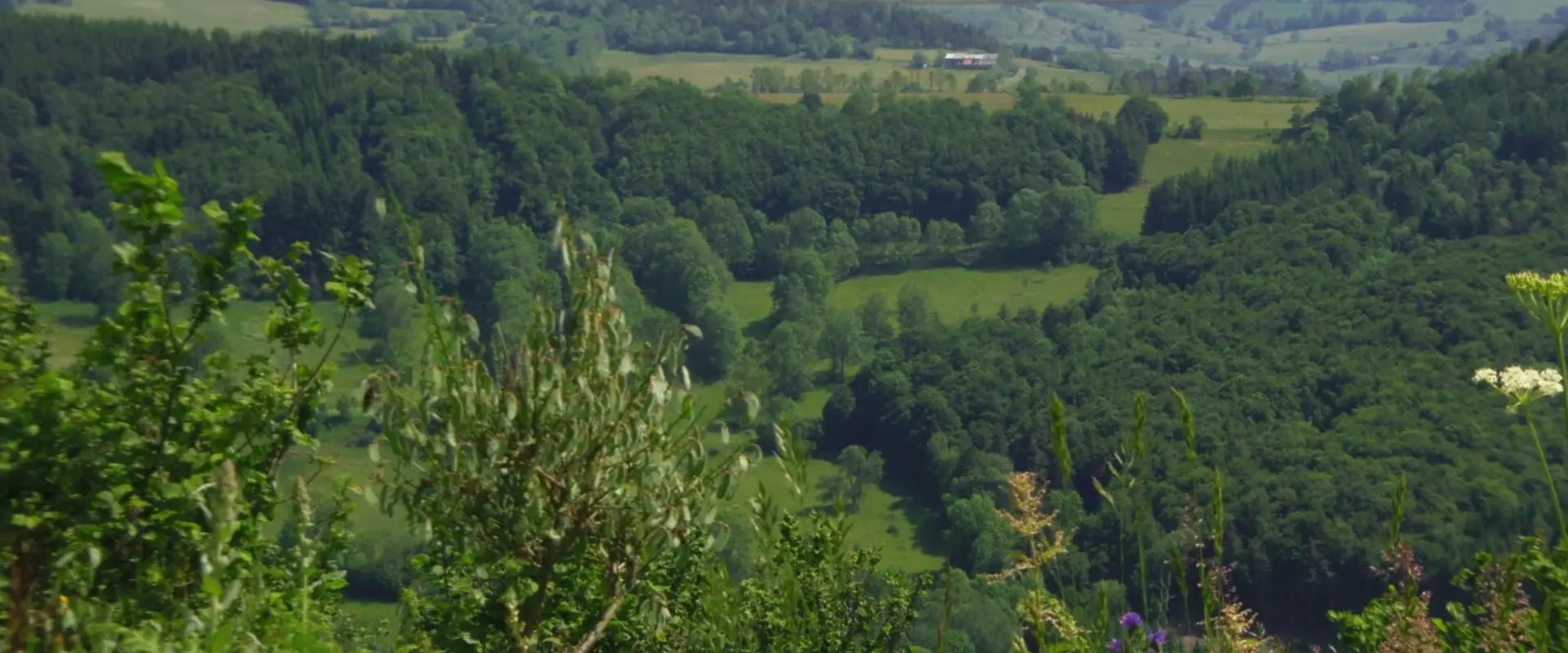 Espace nature de Sabatoux