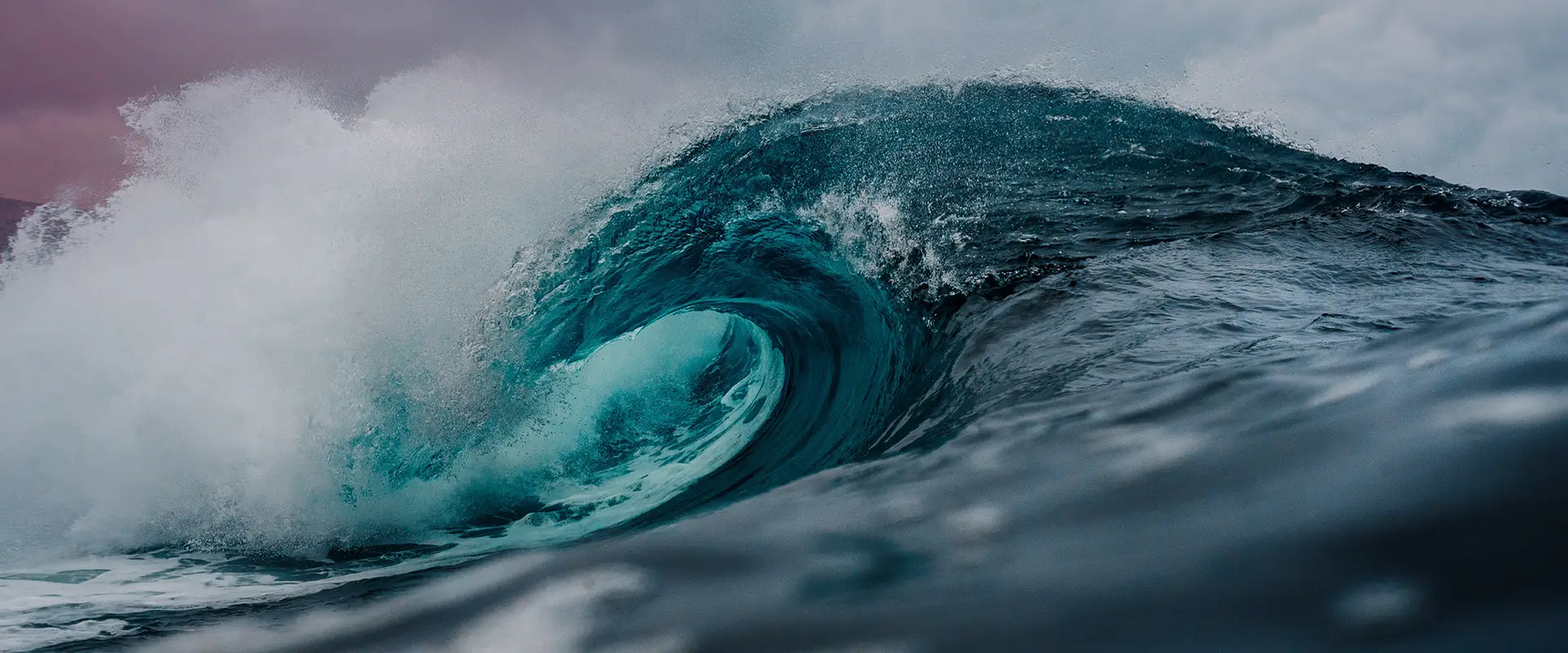 Australian Professional Ocean Lifeguard Association