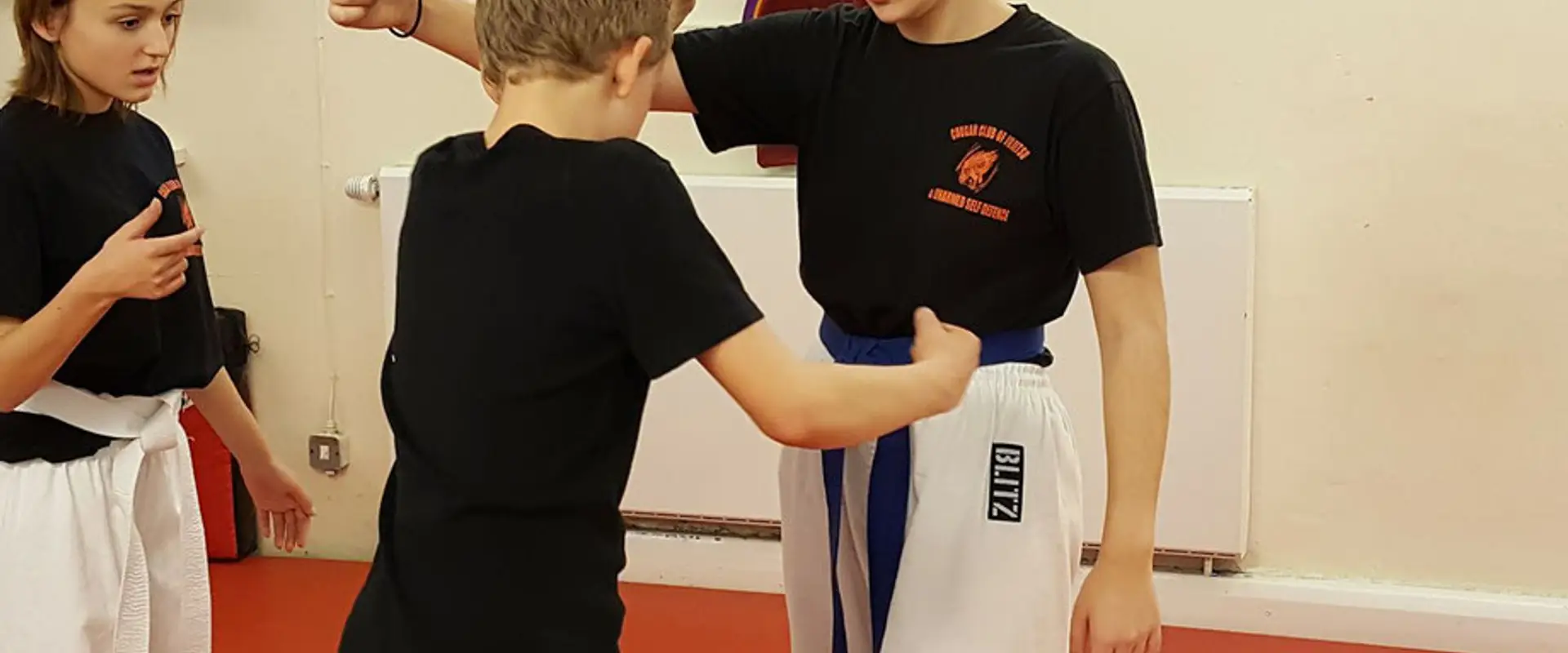 Cougar Club of Jujitsu and Unarmed Self Defence