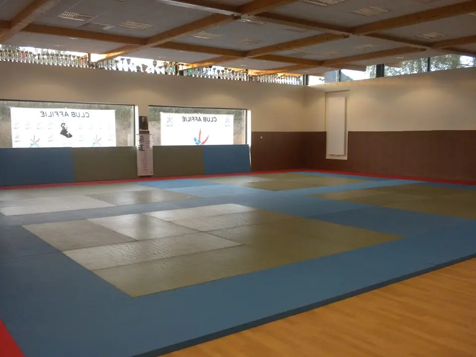 A.S.MONTCHEVREUIL JUDO YOSEIKAN ET D.A