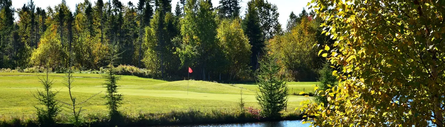 Carleton Terrain De Golf