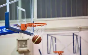 basket Chateau Renard
