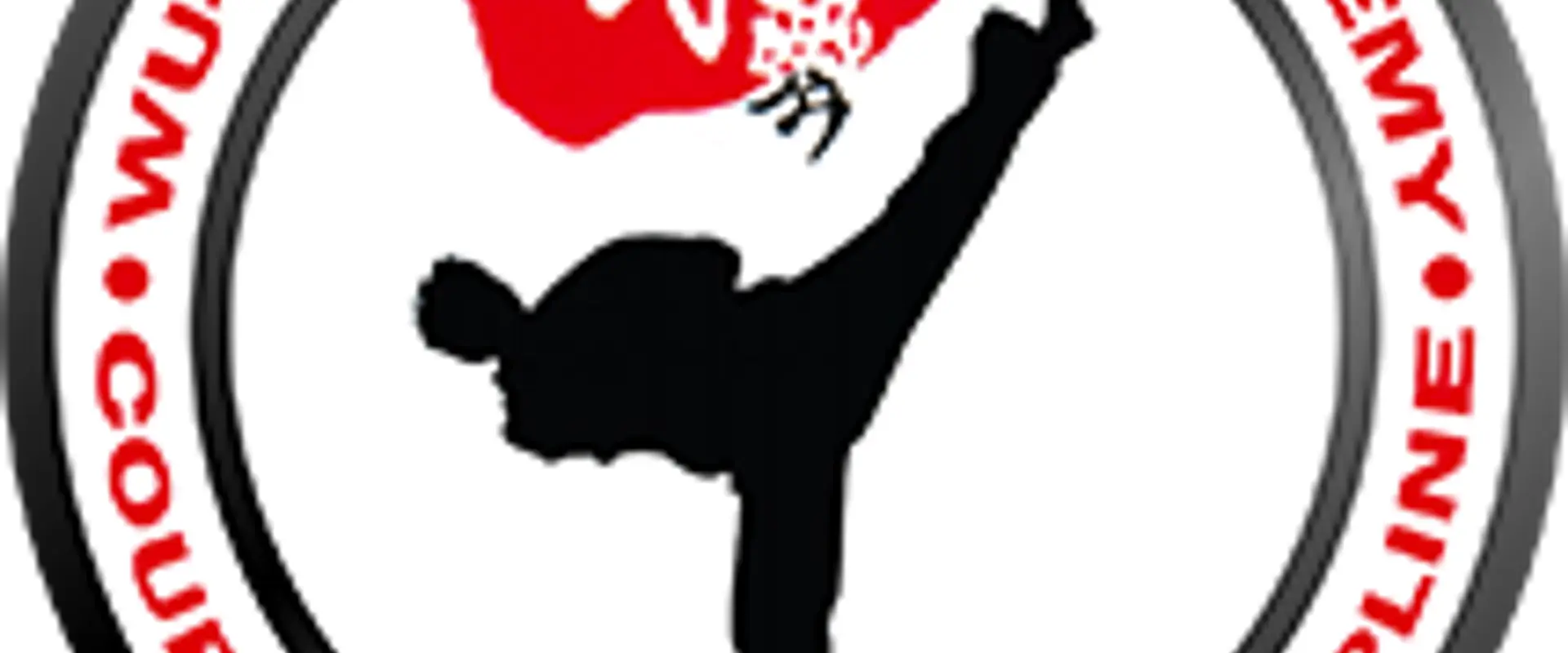 Wu-Yi Taekwondo Academy