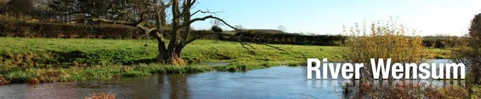 Wensum Fisheries