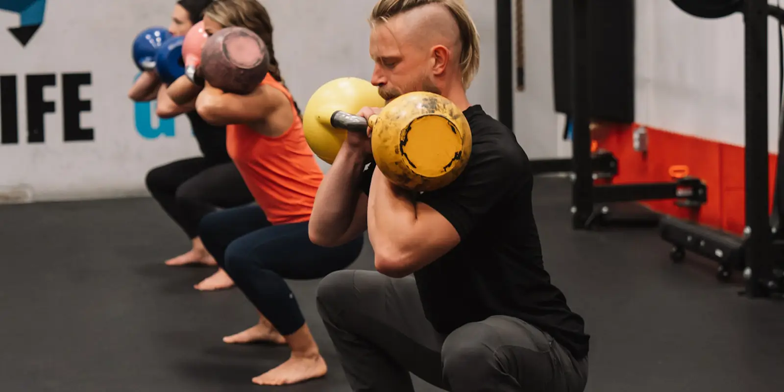 Wild Life Gym Inc.