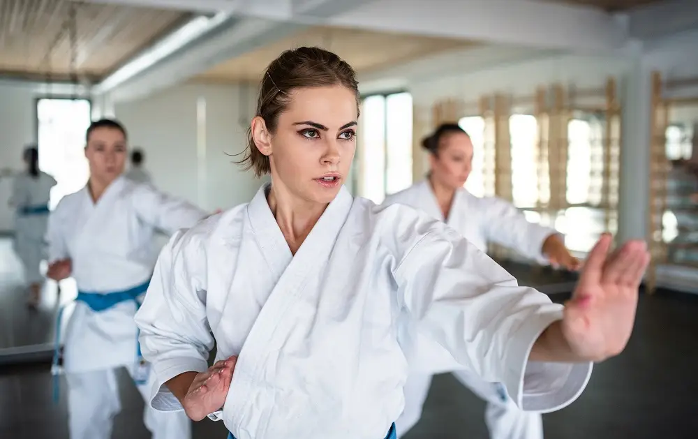 Shoto Karate - Shotokan