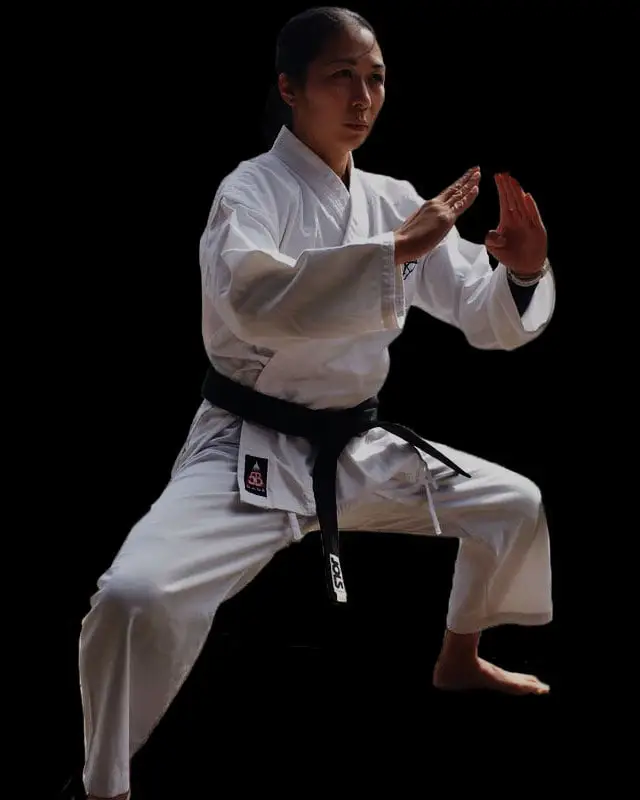 Lee's Karate
