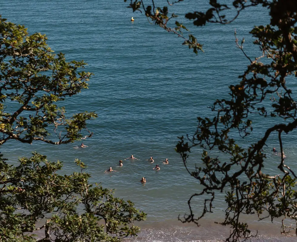The Salt Sisterhood Yoga & Swimming Retreat
