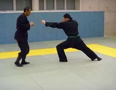 Bujinkan Dojo La Chapelle
