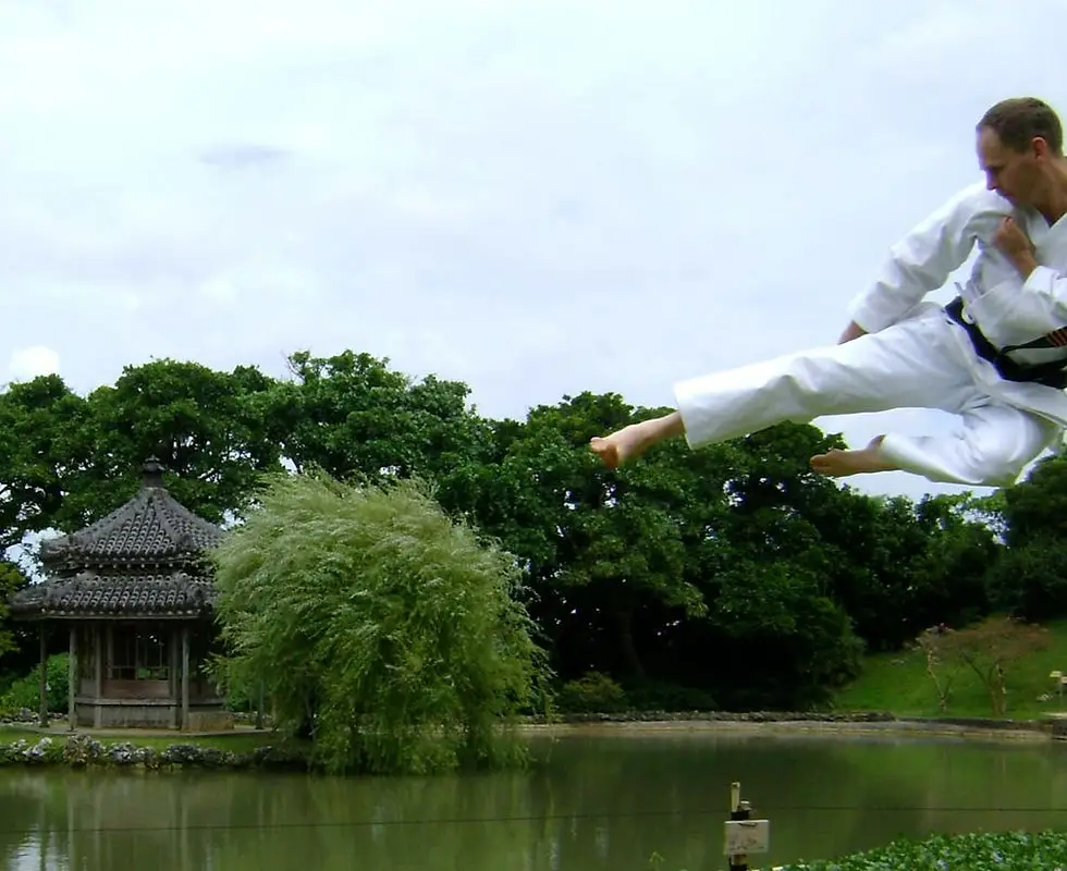 Meibukan Bu-Jutsu Ryu Karate Do