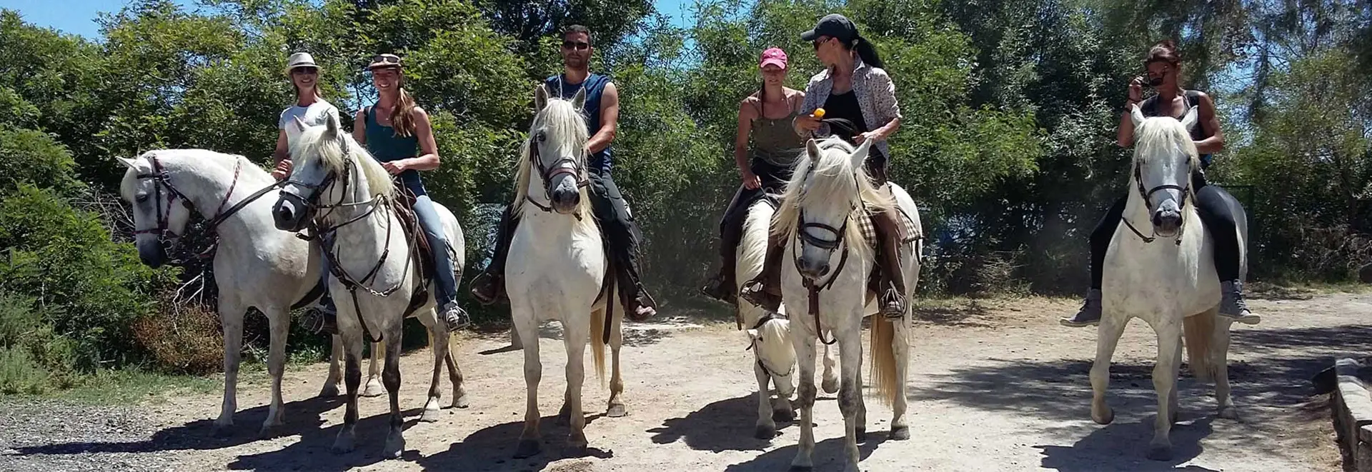 Brenda Center Tourism And Equestrian