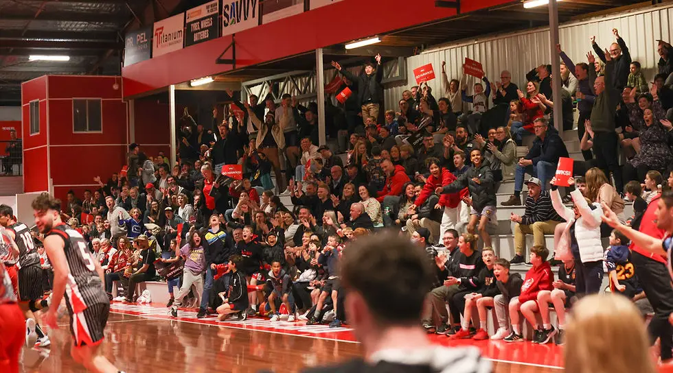 The Snakepit Stadium