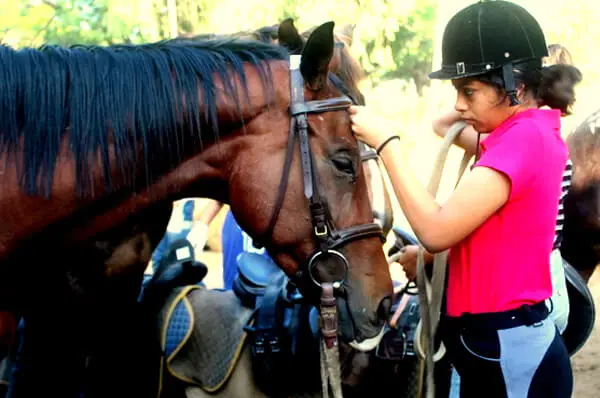 Japalouppe Equestrian Centre