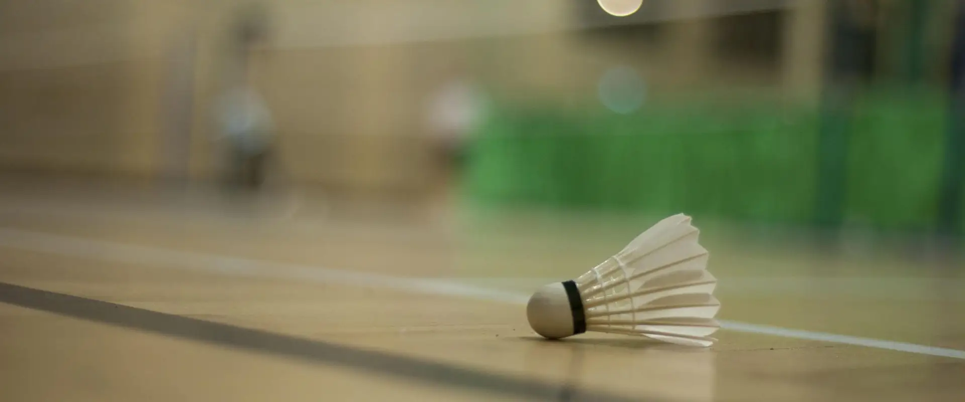 Oasis Badminton Club