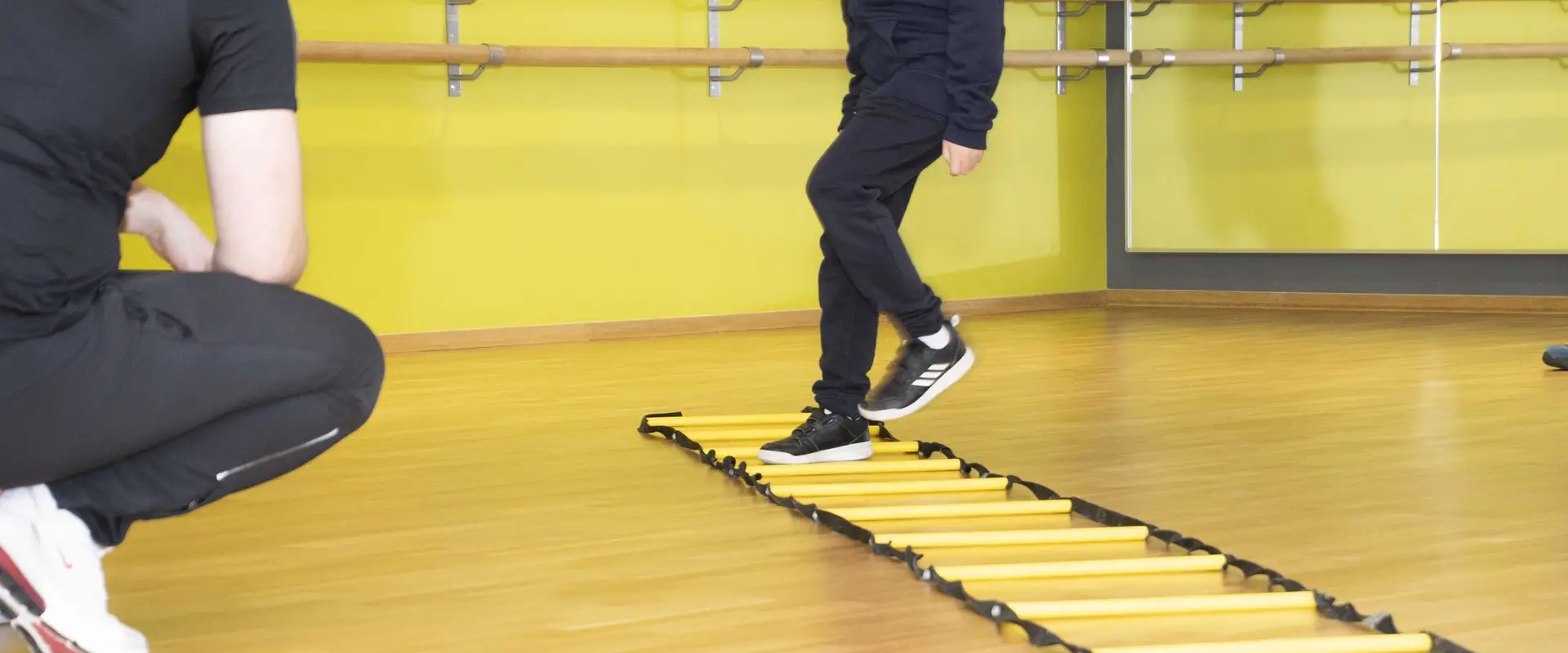 The Academy of Fitness Professionals