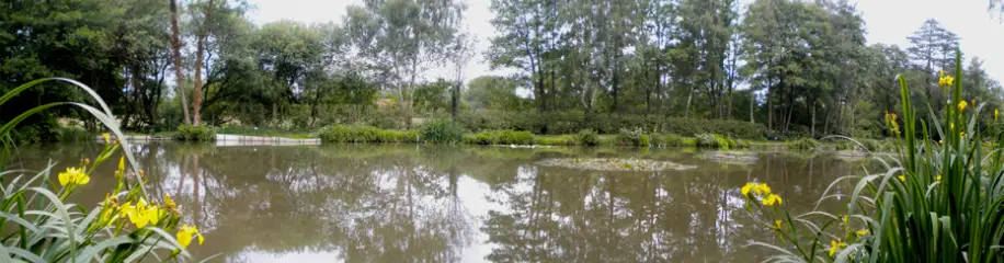 Shamley Green, Wonersh, Bramley & District AS