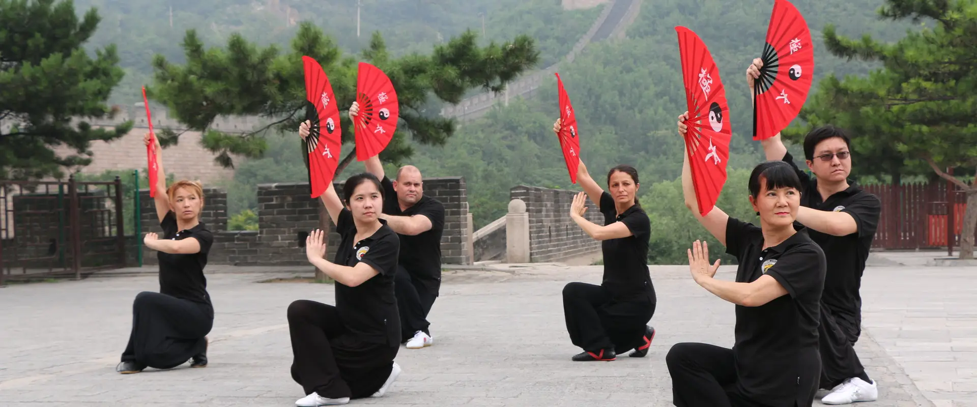 Wulong Tai Chi Kung Fu Fairfield