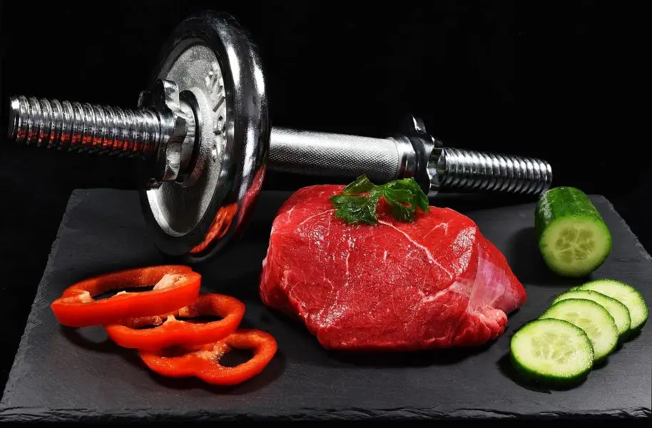 MCCV Musculation