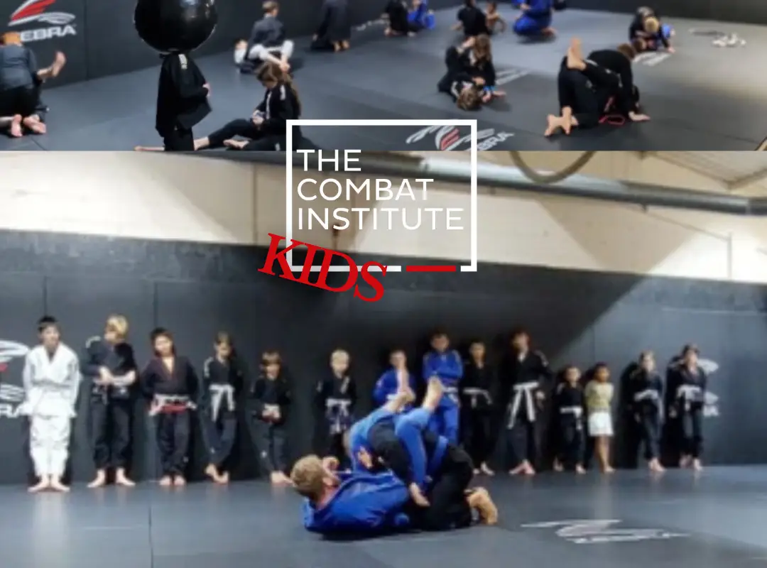 The Combat Institute