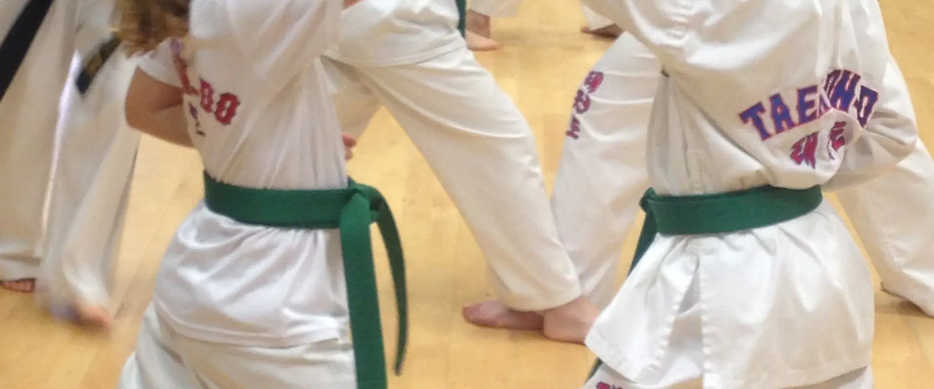 Clifton and Henleaze Taekwon-Do