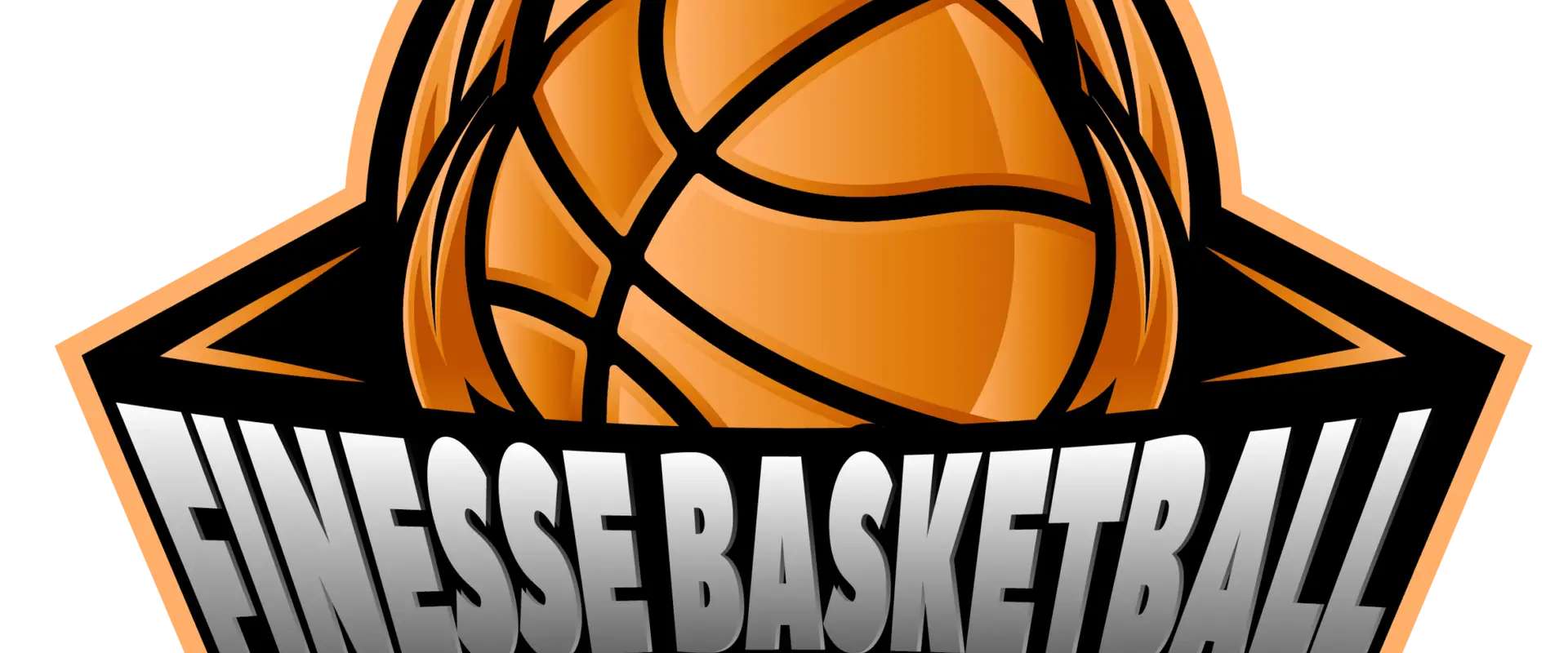 Finesse Basketball