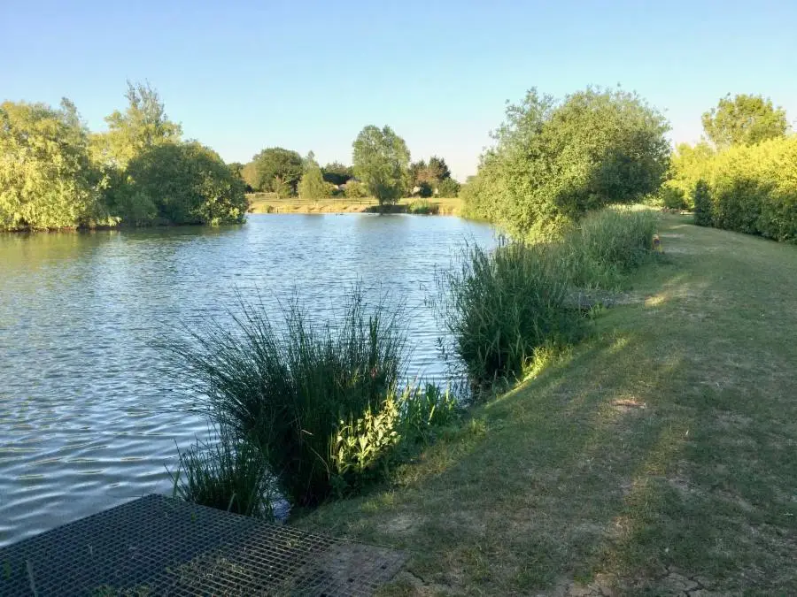 Brook Farm Fishery