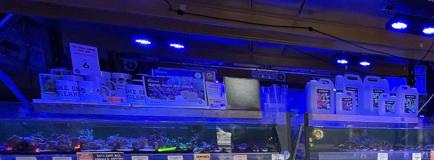 The Coral Centre