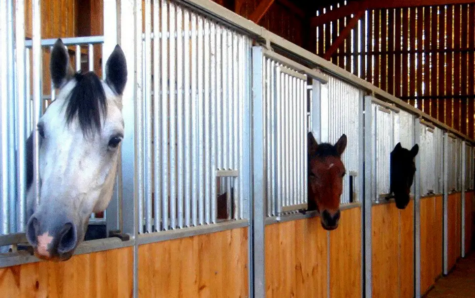 CENTRE EQUESTRE PONEY CLUB LES ECURIES DE MARLAU