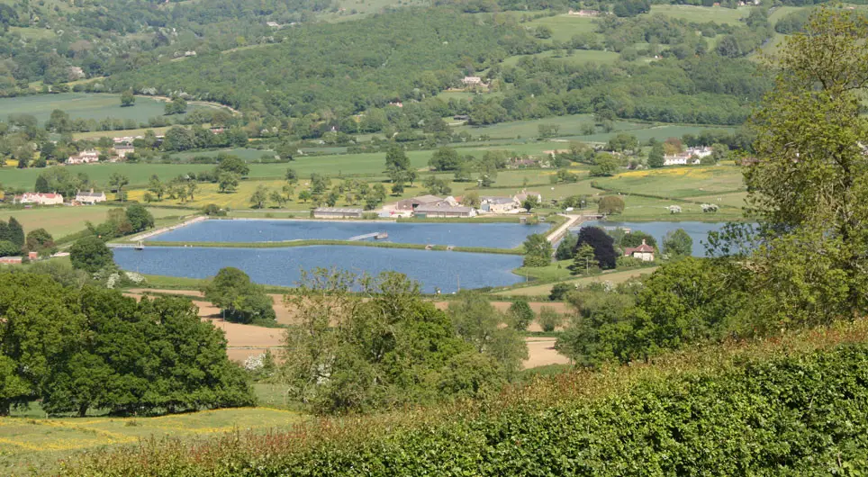 Witcombe Waters Trout Fishery