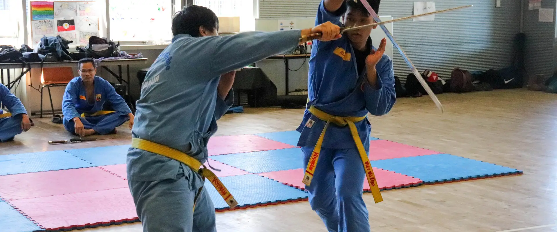Vovinam Viet Vo Dao Chester Hill