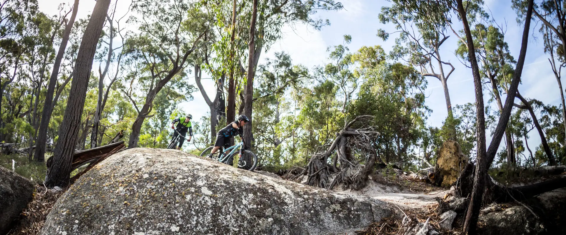 St Helens Mountain Bike Trails
