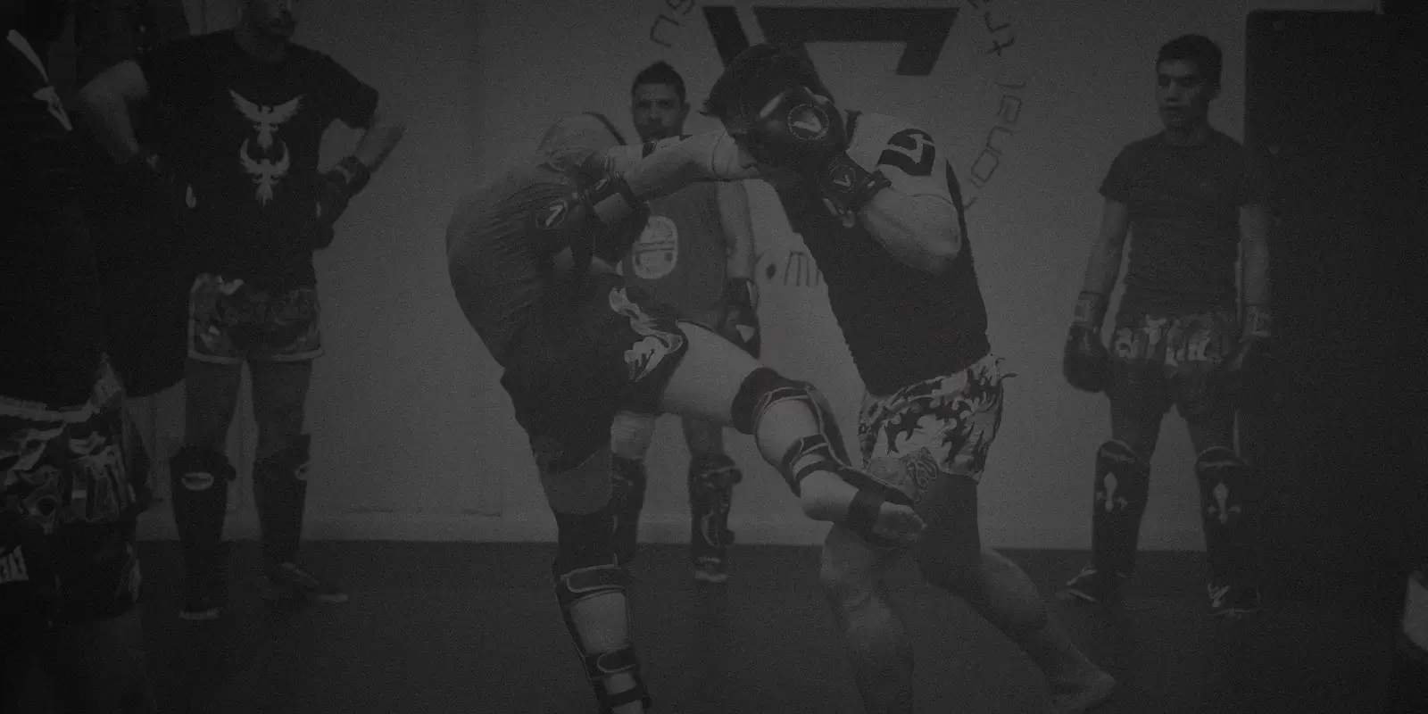 Vieira Martial Arts