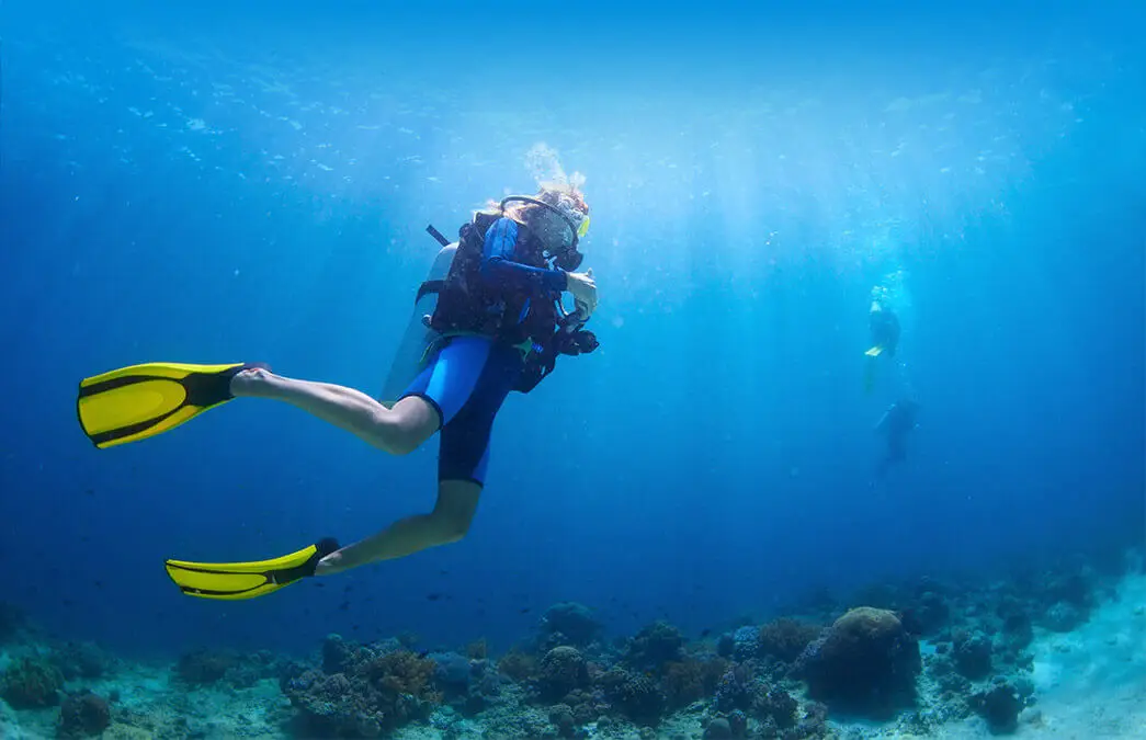 Neptune Diving Club