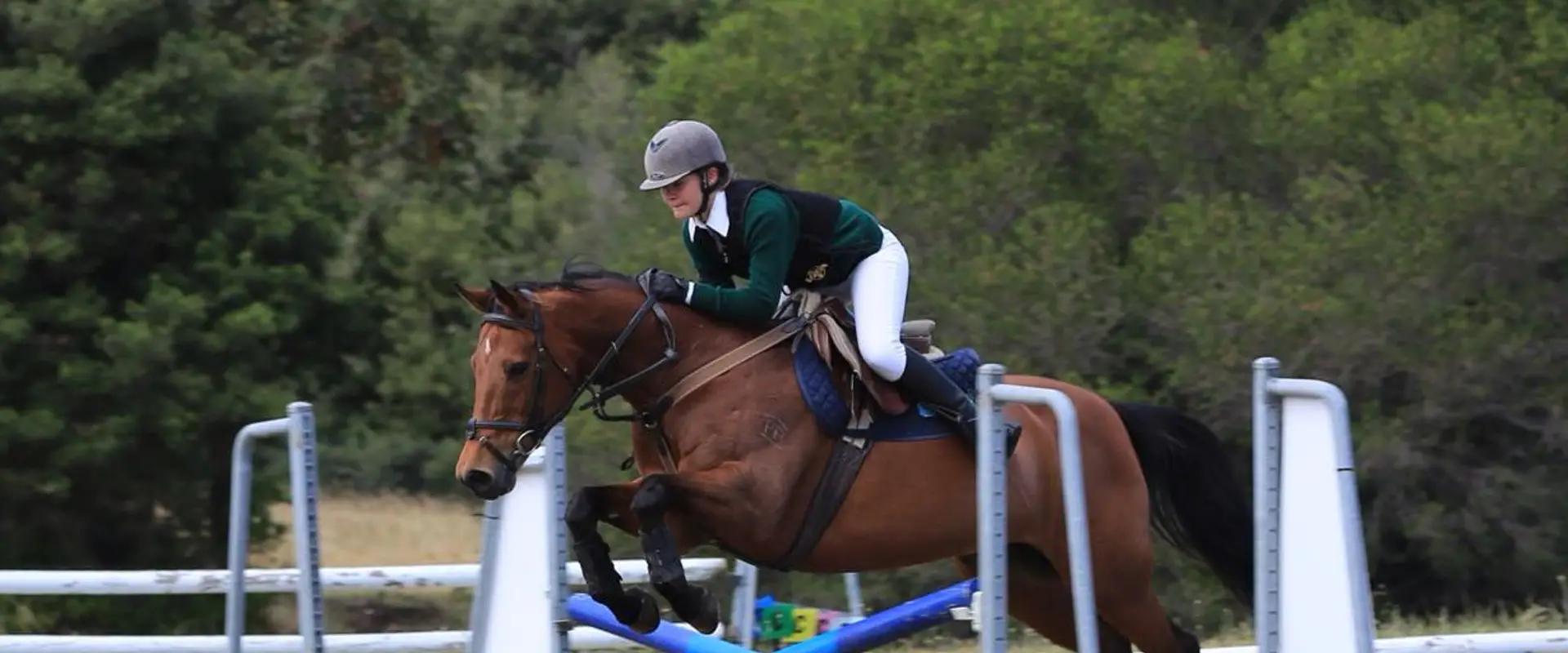 Barwon Heads & District Pony Club