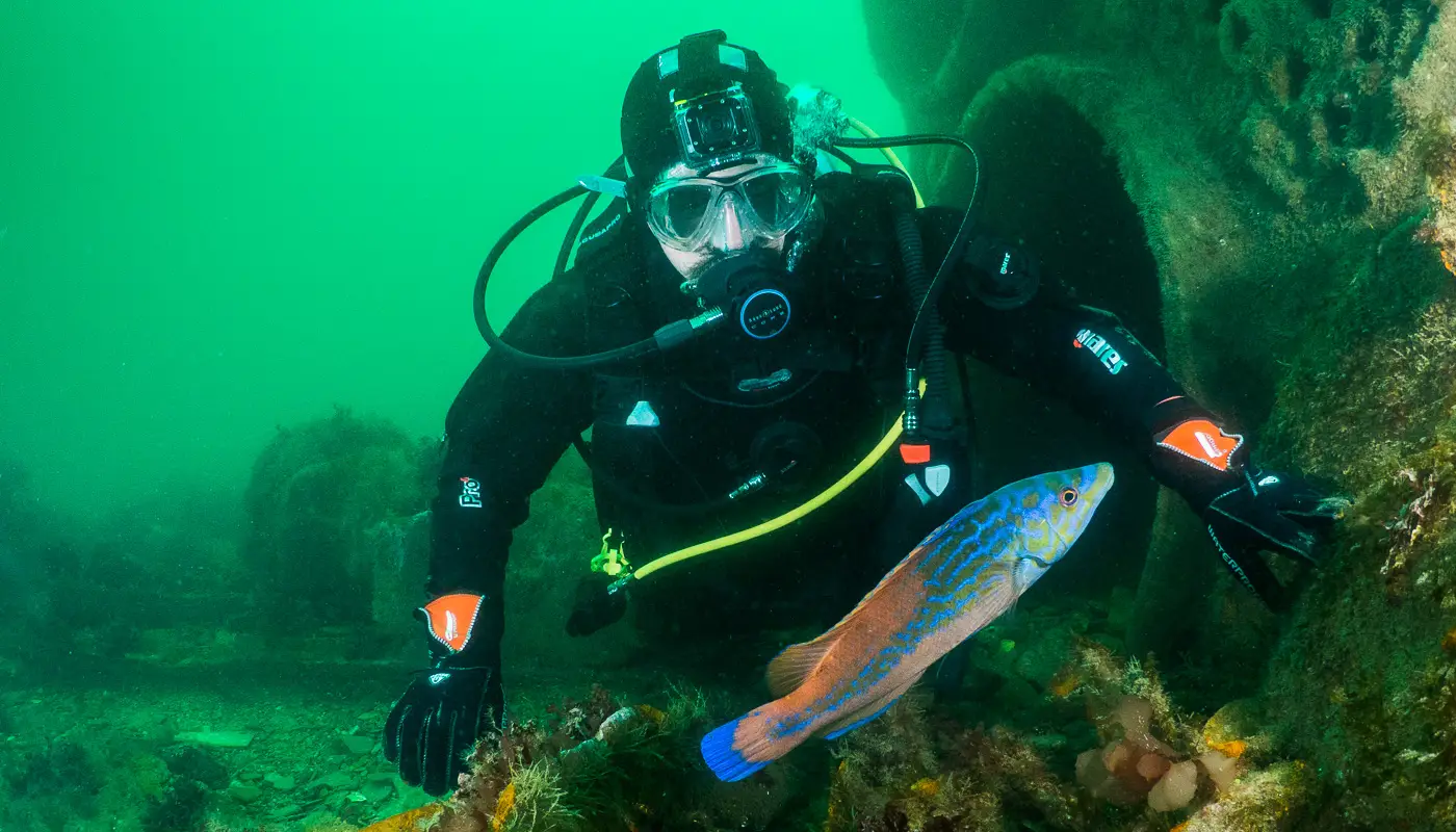 Worcester Divers, Snorkelling & Octopush Club. BSAC & BOA