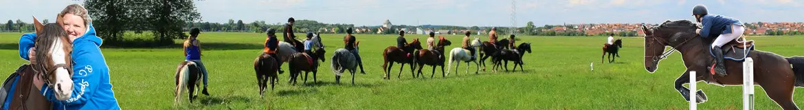 Horse Mon Ami