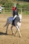 PONEY CLUB ATOUT CRIN