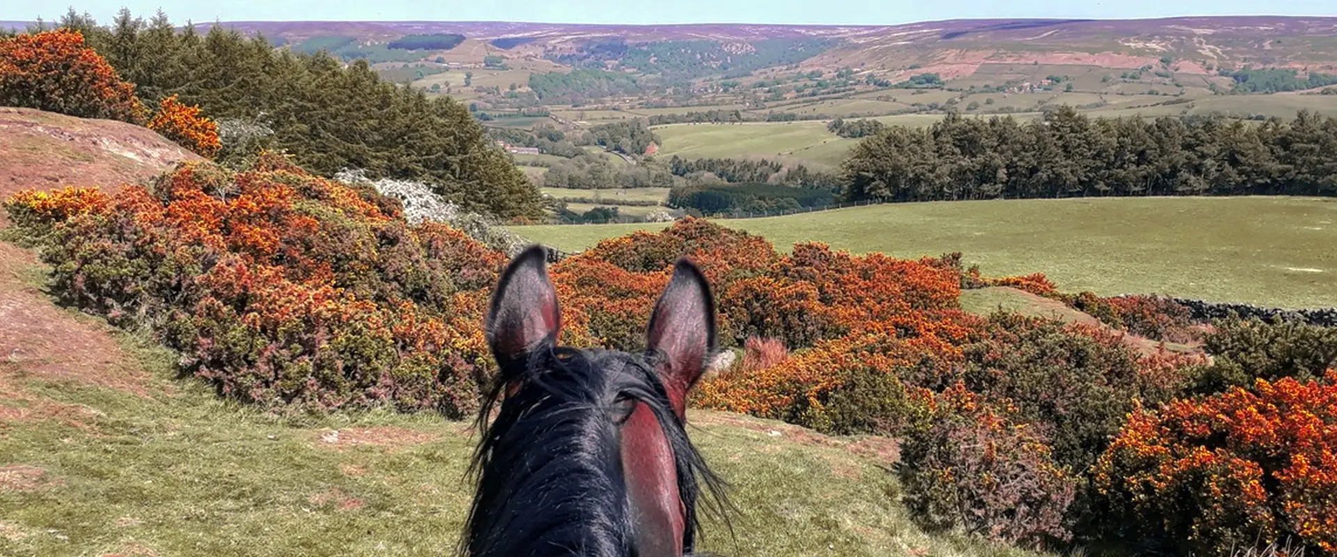 Bilsdale Riding Centre