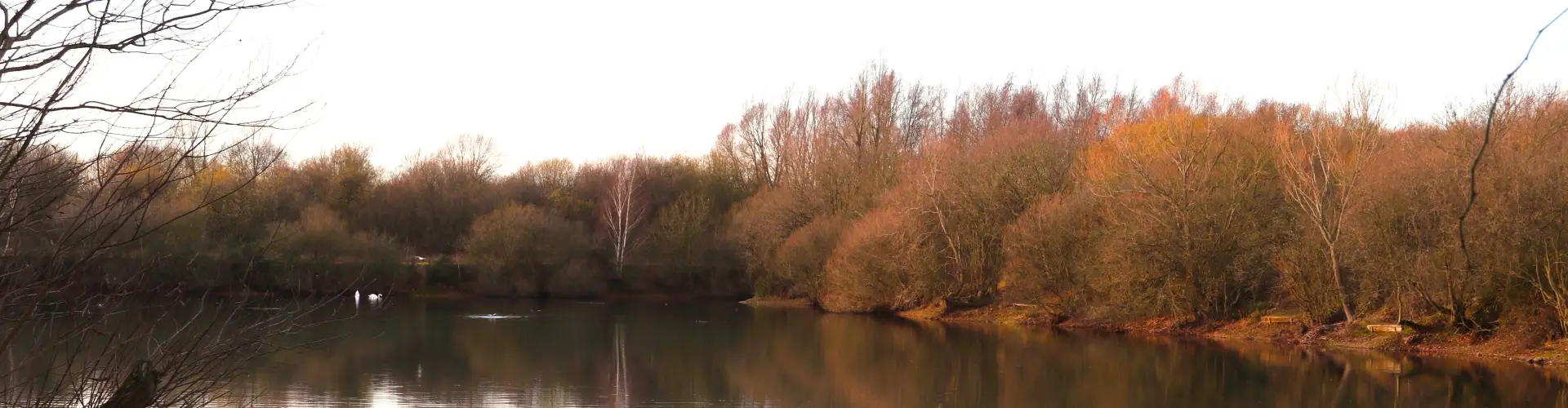 Inworth Grange Lake 1