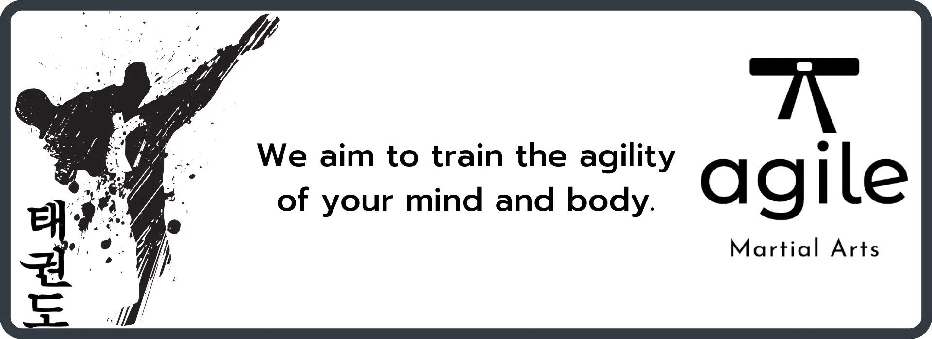 Agile Martial Arts Inc.